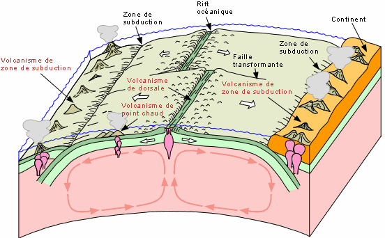 definition plaque tectonique