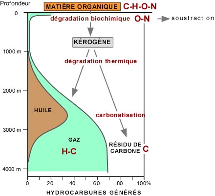 SchÃ©ma fonctionnel illustrant la formation des hydrocarbures